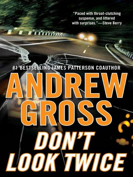 Andrew Gross创作的Don't Look Twice作品的详细信息 - 可供借阅